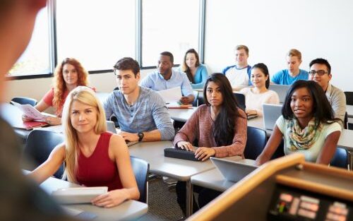 Assignment Help for Career-Focused Students