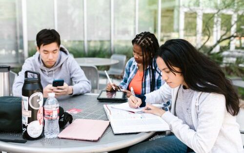 How Online Services Help with Dissertations